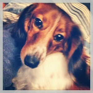 Fundraising Page: Sarah Dupont